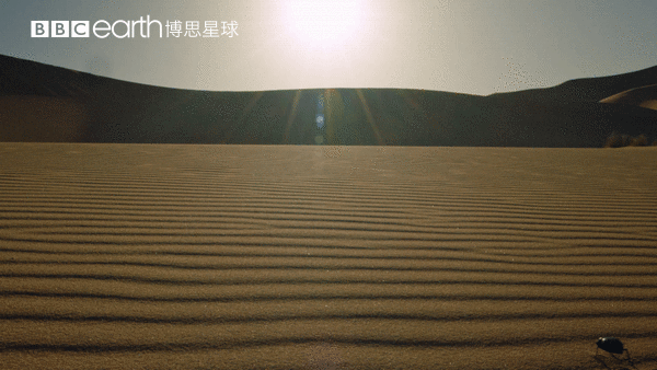 纪录片|这个寒假，关掉垃圾动画片！这四部纪录片适合和孩子一起涨知识！