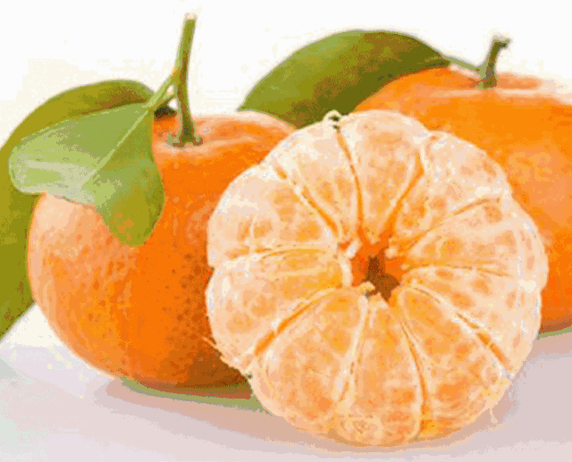 640_517gif 动态图 动图