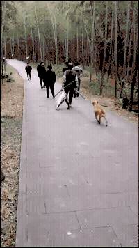 搞笑gif:小姐姐满脸堆笑,问我一个奇怪的问题,然后陷入沉思
