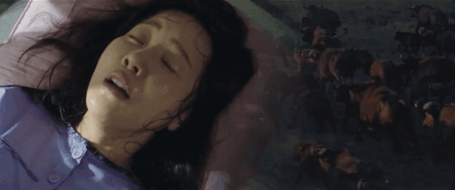 640_268gif 动态图 动图