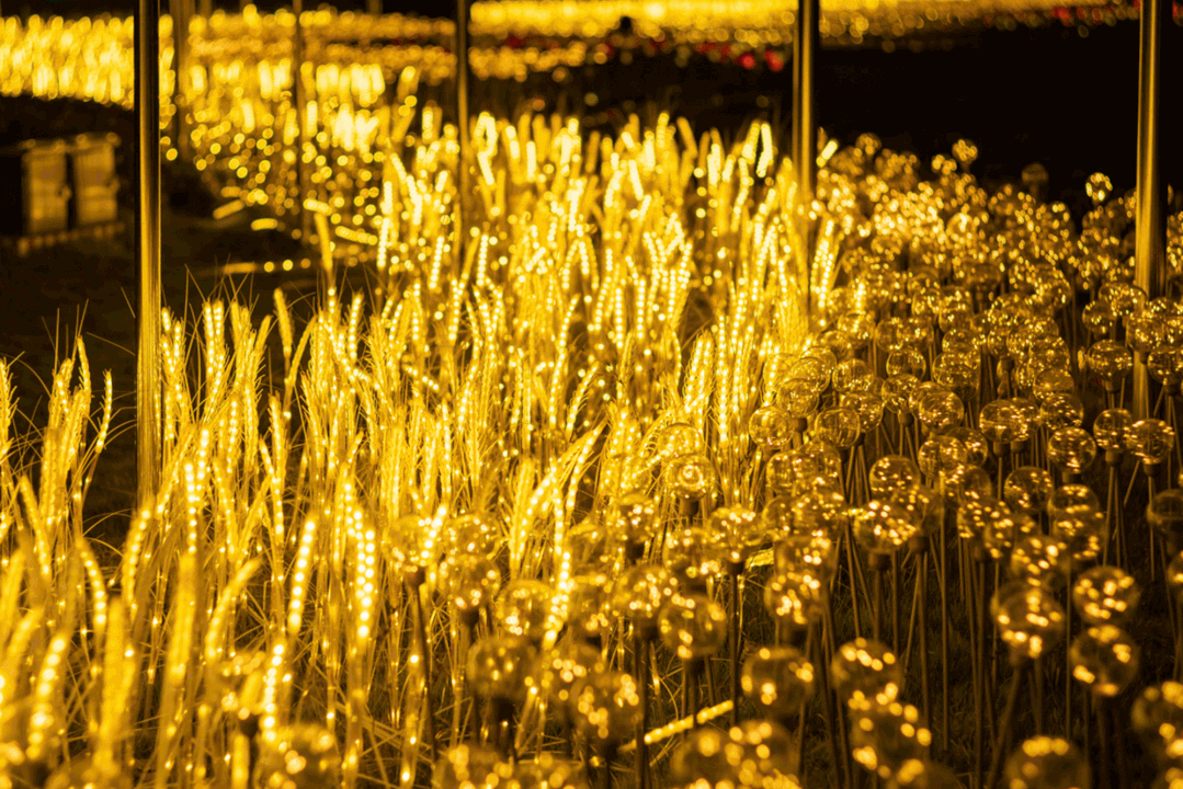 摄/宋兹檀怡海湖公园 摄/宋兹檀映月湖公园内凤凰展翅,"鹊桥"灯饰迎春