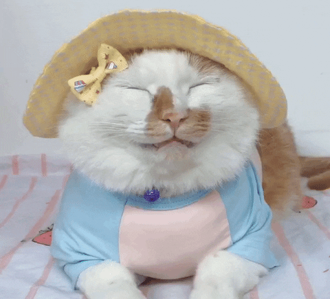 丁香医生|有一种变胖方式叫“睡不够”