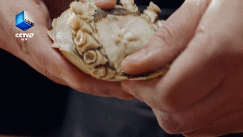 蟹粉狮子头|今日播出蟹粉狮子头，听馋了！