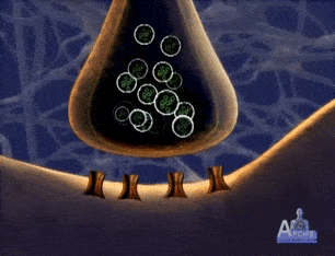 肠道|单不单身可能是由你的肠子决定的