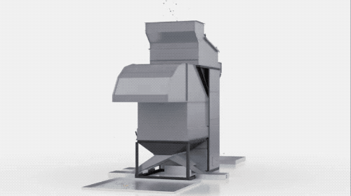 小麦|你生对了时代，以前过年吃面食可能会中毒发疯