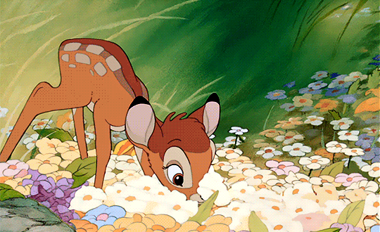 540_330gif 动态图 动图