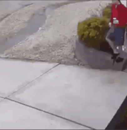 美国_社会|美国暴雪低温致23人死亡！又是百年一遇？！