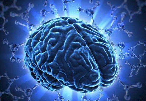 意识|不只人类有意识，石头也有意识？巴特斯克效应实验说明一切