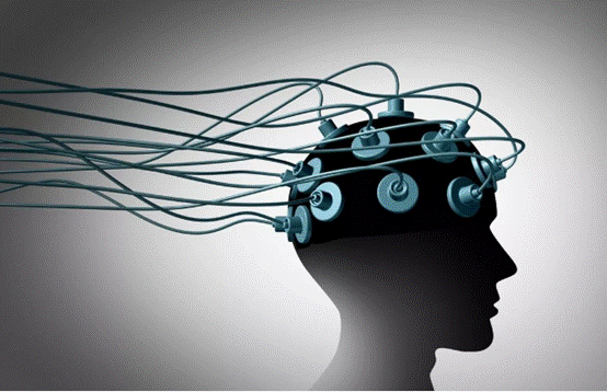 意识|不只人类有意识，石头也有意识？巴特斯克效应实验说明一切