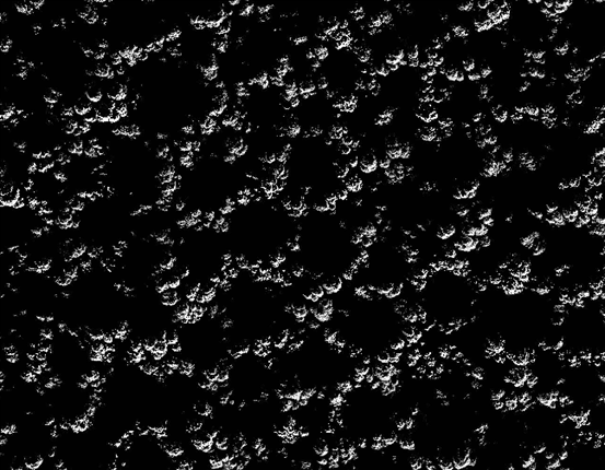 意识|不只人类有意识，石头也有意识？巴特斯克效应实验说明一切