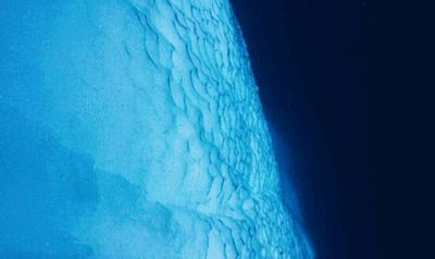 大卫·爱登堡|假期时光，我把孩子放心交给了这个94岁的“豆瓣最高分男神”