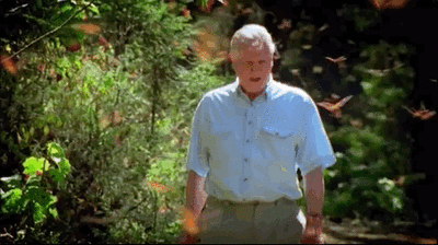 大卫·爱登堡|假期时光，我把孩子放心交给了这个94岁的“豆瓣最高分男神”