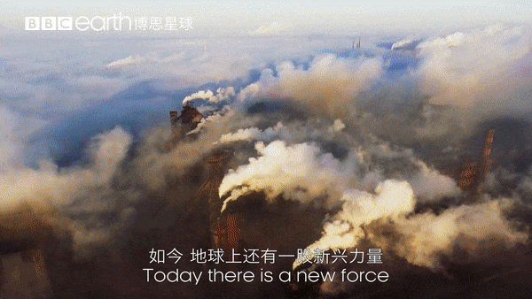 大卫·爱登堡|假期时光，我把孩子放心交给了这个94岁的“豆瓣最高分男神”