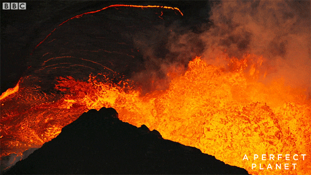 大卫·爱登堡|假期时光，我把孩子放心交给了这个94岁的“豆瓣最高分男神”