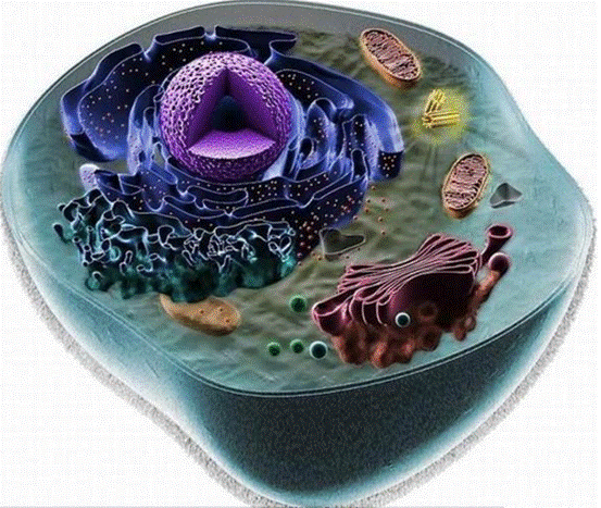 人择原理|人类为什么而存在？人择原理很现实，可能你接受不了