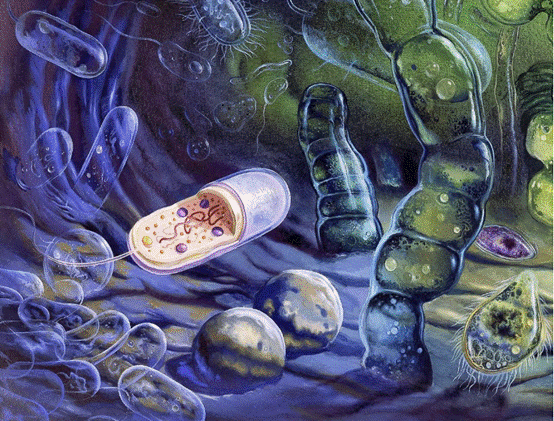 人择原理|人类为什么而存在？人择原理很现实，可能你接受不了