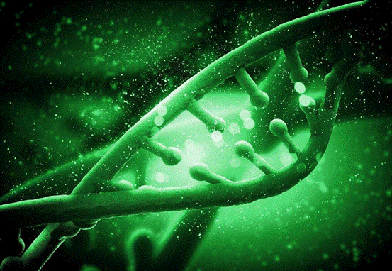 人择原理|人类为什么而存在？人择原理很现实，可能你接受不了