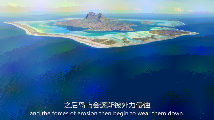 最近,bbc上线了一部堪称"人间绝美"纪录片—— 《完美星球》.