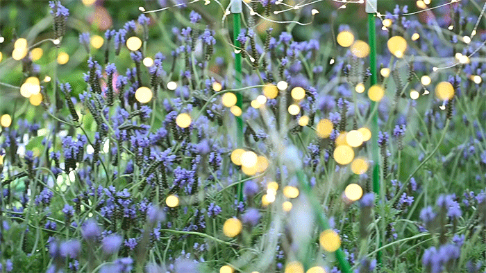 700_394gif 动态图 动图