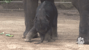 手套|看到这张图，才知道中国制造有多牛……