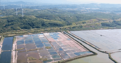 手套|看到这张图，才知道中国制造有多牛……