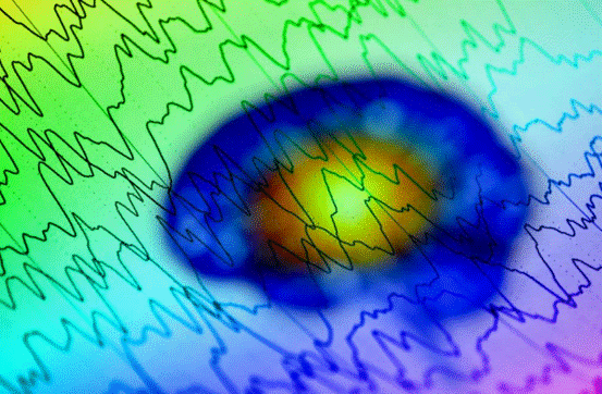 意识|人类不存在真正的自主意识，灵魂被操控？这五项发现太惊人了