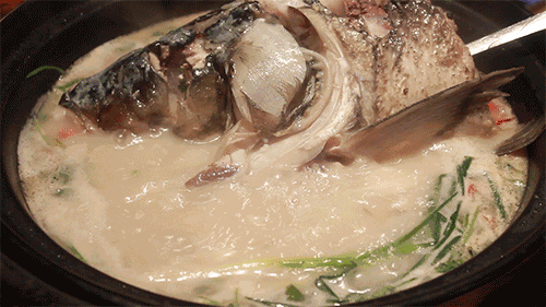 鱼头|鱼头重金属超标？还能愉快地吃鱼头吗？