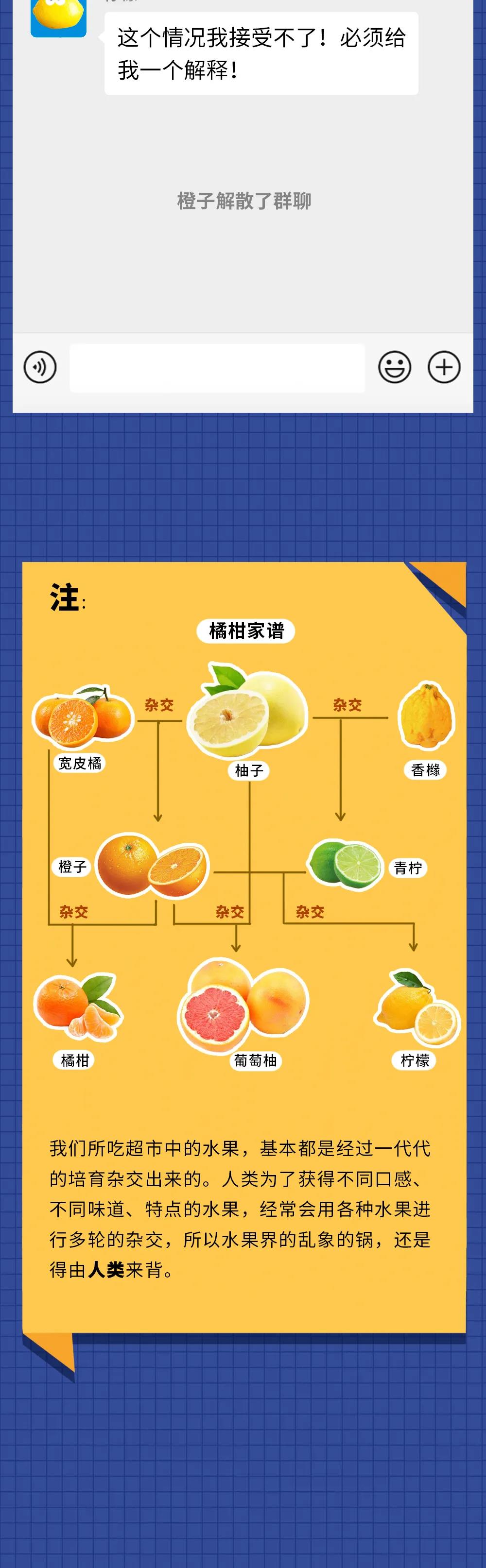 橘子橙子柚子谁才是真正的水果之王