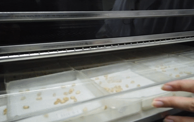 种子库|《流浪地球》里的“种子库”真的存在！