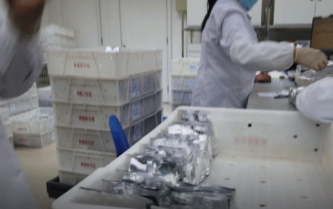 种子库|《流浪地球》里的“种子库”真的存在！