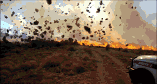 风滚草|风滚草入侵全球，繁殖力强到爆，埋房子又引大火，为何如此妖孽？