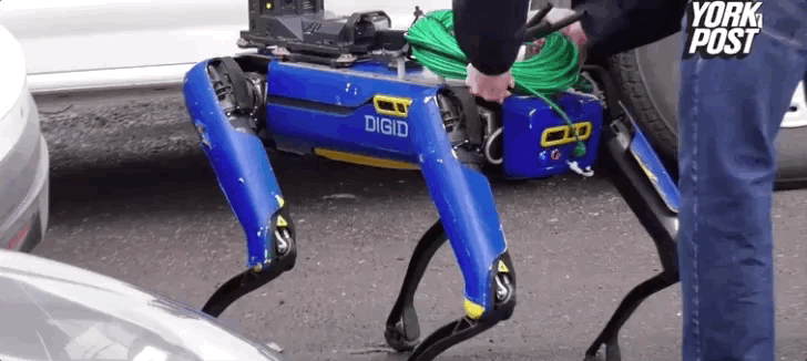 波士顿动力|被征警的波士顿动力狗，会成为没有感情的“监视工具”吗？