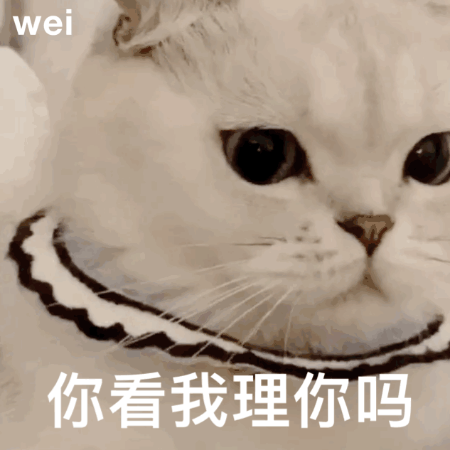 表情包超可爱萌系萌娃猫咪