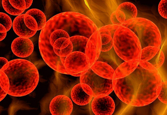 微生物|重大发现！地球上的微生物可在火星存活，返回地球后还能复活