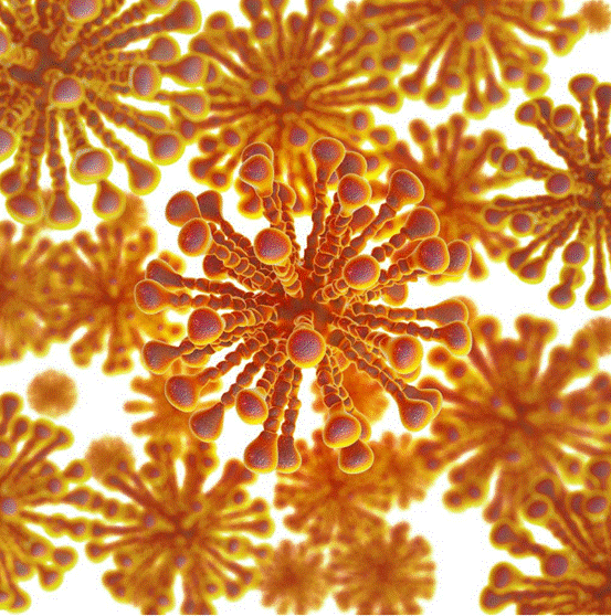 微生物|重大发现！地球上的微生物可在火星存活，返回地球后还能复活