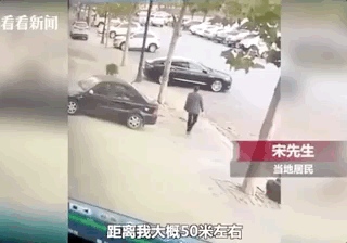 野猪|中国野猪局地泛滥，不敢打，防不住，人猪矛盾升级，如何处理？