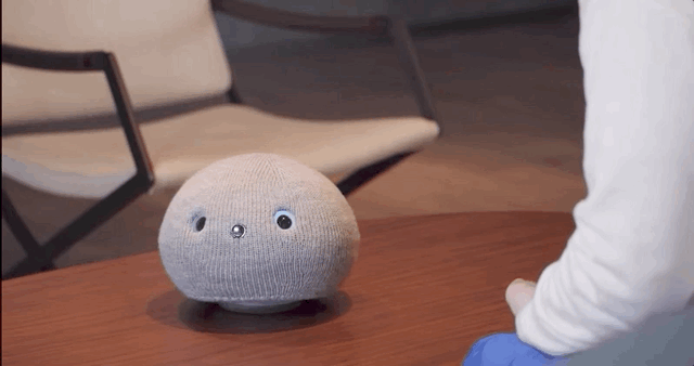 众筹|日本人真会玩！3天众筹60万元来造“机器猫”，会说话摇尾巴的那种