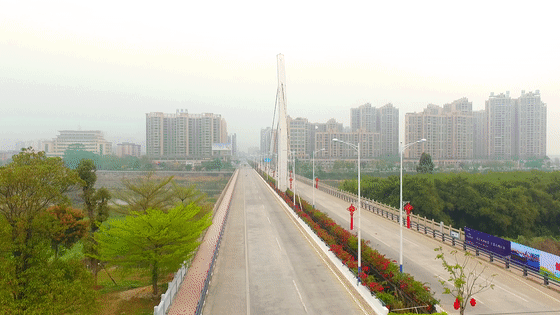 醉美勒杜鹃争相绽放勾勒出姹紫嫣红的恩平大道