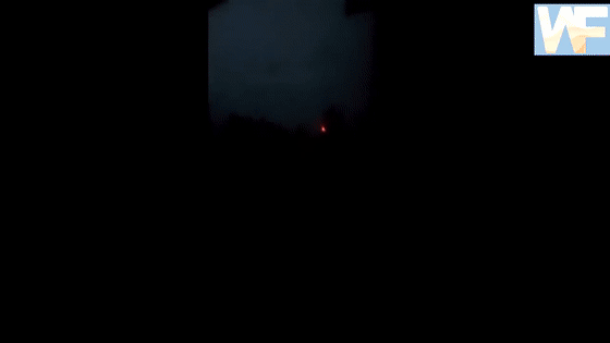 闪电|瘦成一道闪电？你可能没见过胖成球的