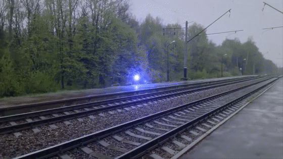 闪电|瘦成一道闪电？你可能没见过胖成球的