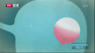 米粒妈|这部BBC最不正经的科教片，看得我笑出了鹅叫