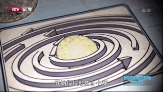 米粒妈|这部BBC最不正经的科教片，看得我笑出了鹅叫