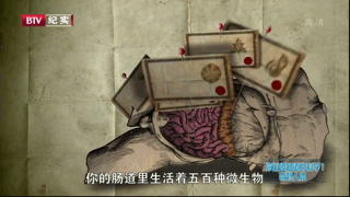 米粒妈|这部BBC最不正经的科教片，看得我笑出了鹅叫