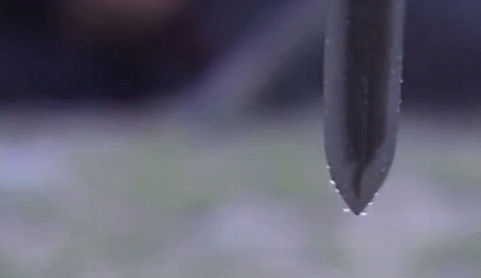 沙漠|沙漠里的动物都是怎么精打细算地过日子的？