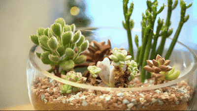 给予彼此高质量的陪伴