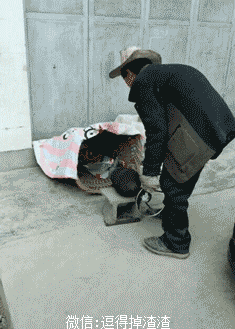 搞笑gif段子这图需要仔细的看看