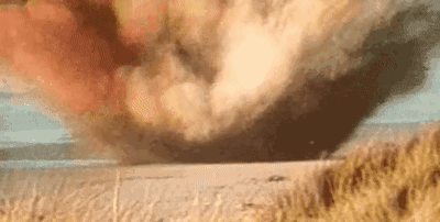 鲸落|全国仅找到一例在南海，罕见的鲸落，世界最浪漫的死亡名不虚传