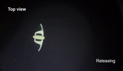 马里亚纳海沟|登上《自然》封面！浙大团队成功“打卡”马里亚纳海沟