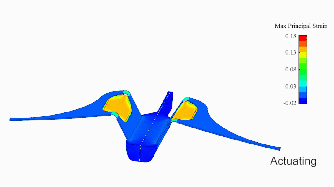 马里亚纳海沟|登上《自然》封面！浙大团队成功“打卡”马里亚纳海沟