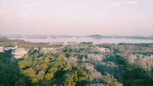 蟑螂|【3月4日】神评论：偷油婆的亲戚还是偷油婆